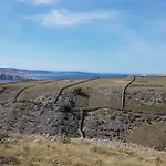 Ruza * Draga Bascanska