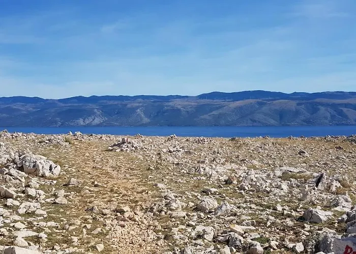 Διαμέρισμα Ruza