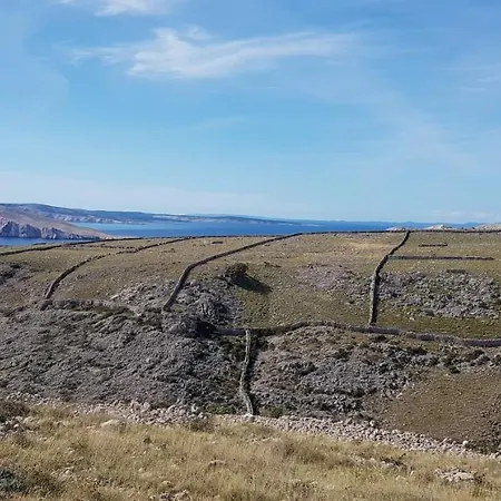 Ruza * Draga Bašćanska