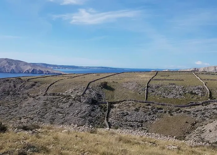 Ruza * Draga Bašćanska